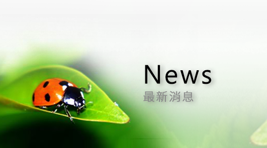 最新消息 News